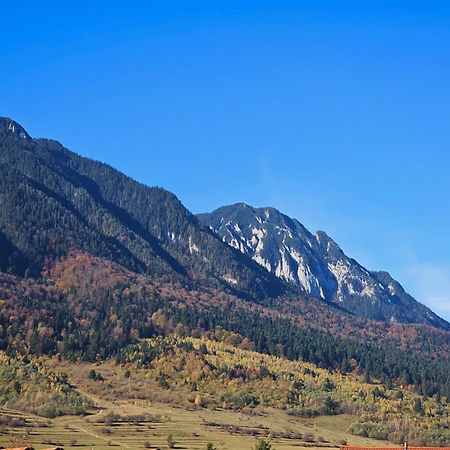 Pensiunea Kyfana Zărneşti Exterior foto
