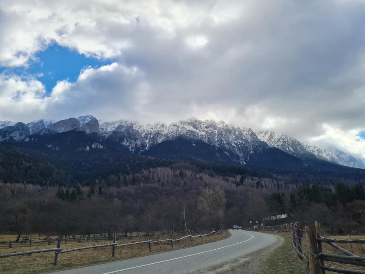 Pensiunea Kyfana Zărneşti Exterior foto
