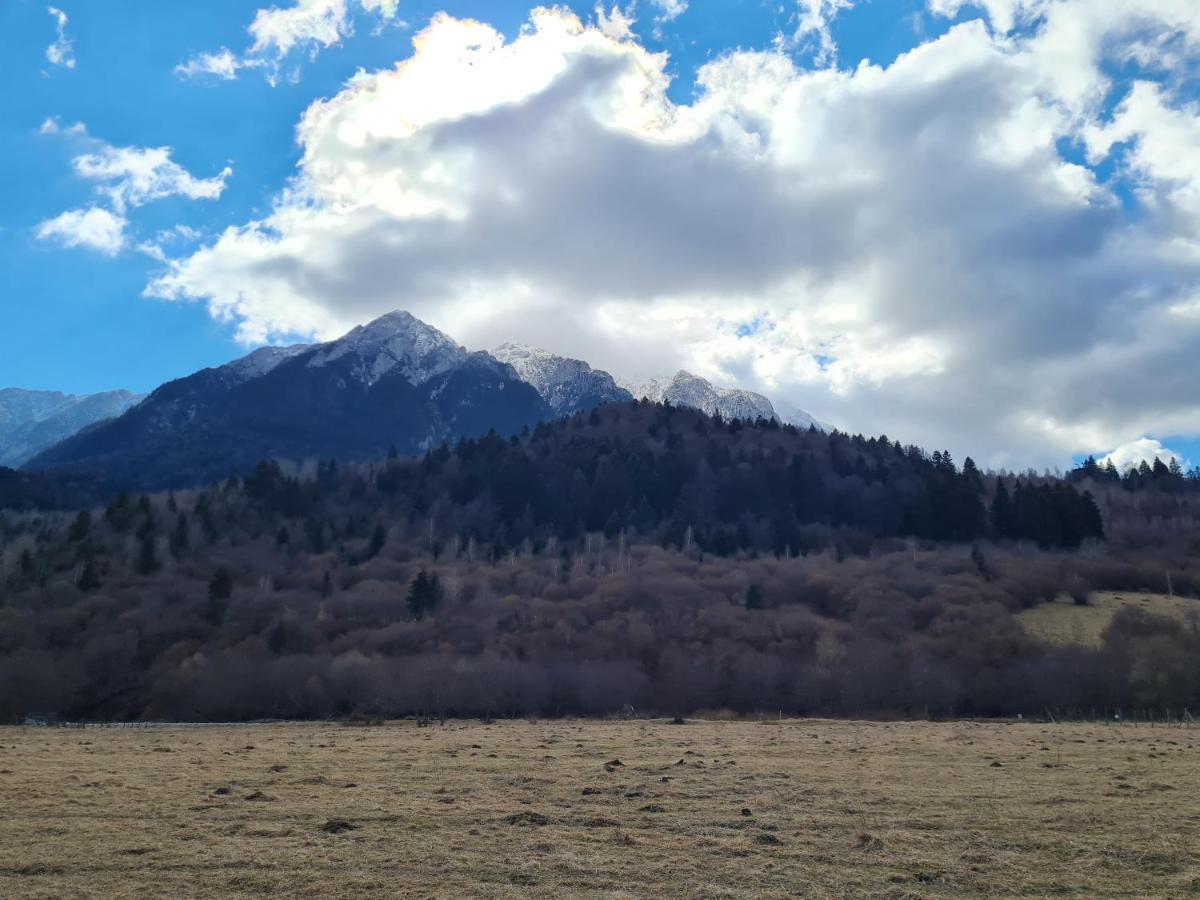 Pensiunea Kyfana Zărneşti Exterior foto