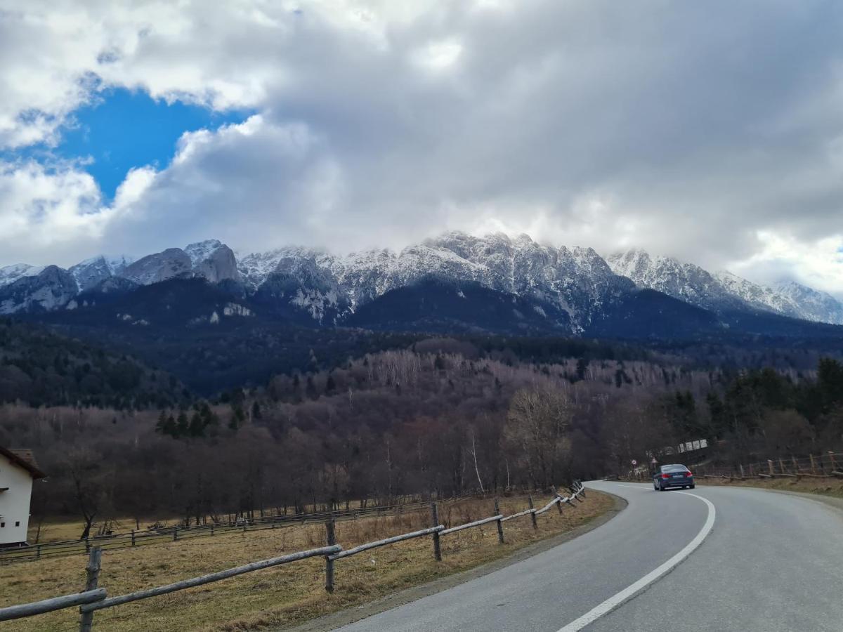 Pensiunea Kyfana Zărneşti Exterior foto