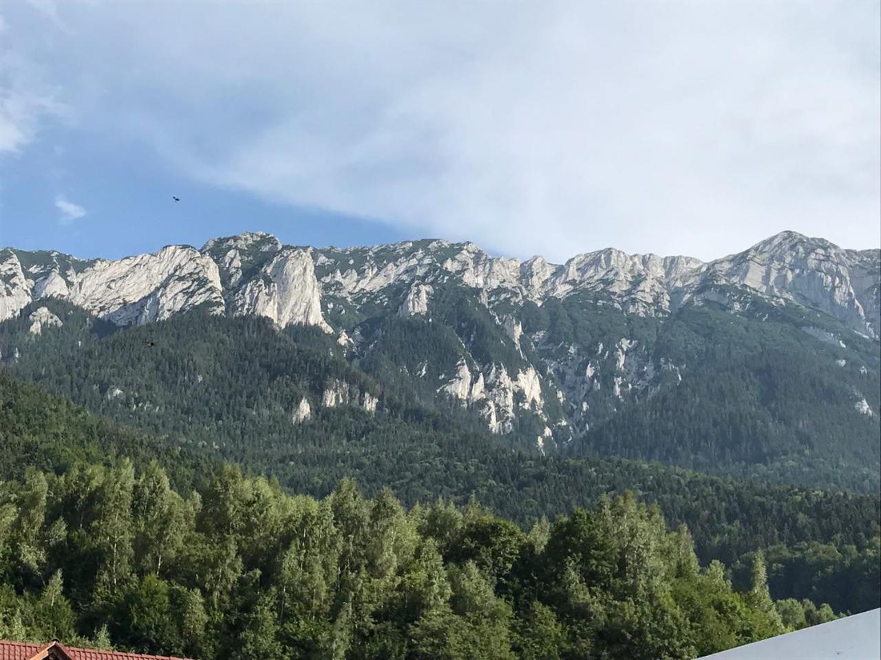 Pensiunea Kyfana Zărneşti Exterior foto